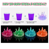 Crystal Growing Kit, 10 Crystals Science Kits for Kids, STEM Projects for Kids Ages 8-12, DIY Educational Science Experiments Craft Toys Gifts for Girls and Boys Aged 6 7 8 9 10 11 12