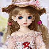 W&Y BJD Doll,1/6 SD Dolls 10Inch Jointed Gift BJD Doll +Makeup +Full Set Lovers DIY Toys Cosplay Fashion Dolls,Best Gift for Girls