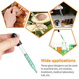Eye Dropper for Essential Oils - Pipettes Dropper with Black Rubber Head, Straight-Tip Calibrated Thick Glass Medicine Dropping Pipettes for Accurate Easy Dose and Measurement 1 mL Capacity