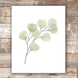 Botanical Prints Wall Art - Eucalyptus Leaves - (Set of 6) - Unframed - 8x10s