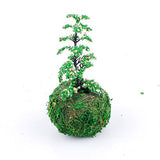 NWFashion Green Yellow Planter, Sueent Flower Pot, Moss Ball Planter (12CM, Green)