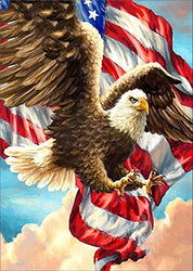 5D Diamond Painting Kit Full Drill,Annomor DIY Diamond Rhinestone Painting Kits Embroidery Arts Craft,Home and Office Wall Decor or Birthday, Anniversary, Wedding Gift (Eagle with US Flag)