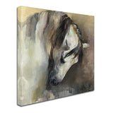 Classical Horse by Marilyn Hageman, 35x35-Inch Canvas Wall Art