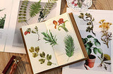 Vintage Flowers Plants Stickers - Doraking 40PCS Peel-Off DIY Decoration PET Paper Flowers and Plants Scrapbook Stickers for Scrapbook (Flower Collection)