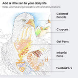 Arteza Coloring Art Set, Colored Pencils 48 and Coloring Book with 72 Unique Designs, Art Supplies for Relaxation and Stress Relief