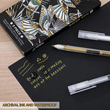 PANDAFLY Premium 3 Colors Gel Pen Set - White, Gold and Silver Gel Ink Pens, Archival Ink Fine Tip Sketching Pen for Black Paper Drawing, Illustration Deisgn and Adult Coloring Book, Pack of 8