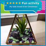 STMT DIY Crystal Terrarium by Horizon Group USA, Make Your Own Hanging Garden. 1 Glass Terrarium, 2 Gemstones, 1 Faux Plant, Colored Sand, Colored Rocks & Essential Oils Included, Multicolor