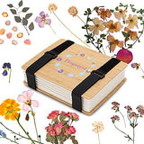 XYZ Flower Press Kit Wooden Art Flower Pressing Kit for Drying & Preserving Foliage -Plant Press Book Includes Press Plates,Straps & Accessories for Multi-Layer Pressing - Color Retention Drying Kit