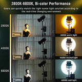150W 2600K-6800K COB LED Video Light, 16700 lux@1m Bowens Mount Photographic Lighting Monolights , APP DMX Control Studio Video Lighting for Portrait, Wedding, Lives