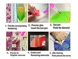 RAILONCH 5D Summer Night Diamond Painting Kits DIY Full Drill Arts Craft for Home Wall Decor (100x75cm)
