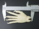 Zgmd 1/3 BJD Doll SD Doll Ball Jointed Doll Joint Hands Elf Evil Hands BJD Doll Hands