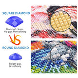 DIY 5D Painting with Diamonds Full Drill Diamond Art Kit Square Rhinestone Embroidery by Numbers for Wall Decor Lion 11.8X15.7inch