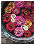 In Bloom: Growing, Harvesting, and Arranging Homegrown Flowers All Year Round (CompanionHouse Books) Create a Perfect Garden of Color, Texture, & Shape with Annuals, Perennials, Shrubs, Trees, & More