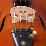 Paititi Violin (PTTFL101)