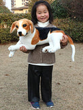 JESONN Giant Realistic Stuffed Animals Beagle Dog Plush Toys,21.6" or 55CM,1PC