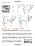 Drawing Animals 101: How to Draw with a Veterinarian's Eye