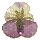 Jili Online Pansy Epoxy Resin Real Dried Flower Pendant Charms for Jewelry Making DIY Necklace