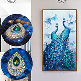 Diamond Painting Full Drill Beautiful Peacock DIY Arts Craft for Home Wall Decor (45 x 80 cm)