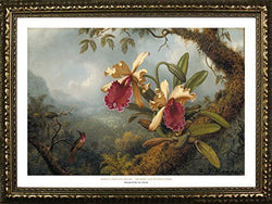 Framed Orchids and Hummingbirds by Martin Johnson Heade 24x36 Art Print Poster Famous Painting from Museum of Fine Arts Boston Collection