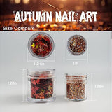 Chunky Glitter Autumn Nail Art Sequins for Acrylic Nails, Mixed Powder Gold Red Mixed Colors Sequins Iridescent Flakes Paillette Sparkles Tips for Face Eyes Body Hair(2 Pot)