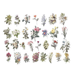 STICON Super Cute Artistic Watercolor Line Drawing Plants Leaves and Flowers Decorative Sticker for Phone, Pad, Laptop, Cards, Envelopes, Tags, Diary, Scrapbooks, Photo Albums (60 Pieces)
