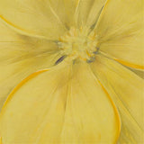 Madison Park 30 X 30 inch, Transitional Décor Yellow Bloom Hand Embellished Floral Canvas Wall Art, See