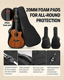 Donner Acoustic Guitar Beginner Full Size 41 Inch Soild Mahogany Top Cutaway Grand Auditorium Adult Starter Bundle Kit with Gig Bag Strap Tuner Capo Pickguard String 4 Picks Cloth Right Hand