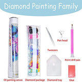 OMYLOVE 5D Diamond Painting Kits for Adults - Full Drill Round Rhinestone Painting Home Wall Decor (Moon 16x12 inch)