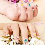 Dried Flowers for Nail Art CHANGAR Mini Real Natural Dry Flowers Sticker Decals Small Tiny Dried Flowers Five Petal Flower Resin Nail Art Supplies Decoration