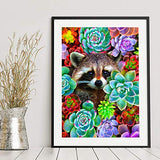 DIY 5D Diamond Painting Kits for Adult Kids，eniref Diamond Art Full Drill 5D Diamond Painting Kit Colorful Succulents Plants,Diamond Painting Cute Raccoon Home Decor 11.8X15.7 inch