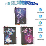 3 Pack 5D Diamond Painting Princess Full Drill by Number Kits for Adults Kids, Butterfly Flower Rhinestone Crystal Drawing Gift Embroidery Dotz Kit Home Wall Décor Paint (16"X12")