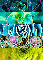 Succulents Diamond Art Painting Kits for Adults -Round Diamond Art Kits for Adults Beginners, DIY Full Drill 5D Diamond Dots Paintings with Diamonds Gem Arts Diamond Pictures for Adults