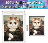 Diamondouble Diamond Painting Kits for Adults,Cute Cat Lady 5D Full Drill with AB Drills DIY Round Diamond Art Number Kits,for Adults & Kids & Relaxation &Wall Decor
