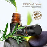 Essential Oils - Anjou Top 18 Aromatherapy Oils Gift Set Organic Pure Premium Essential Oil for Diffuser Yoga Massage & DIY Personal Care, Classic Set