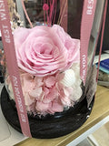 Amoleya 4.9 Inch Handmade Preserved Rose Enchanted Rose that Lasts in Glass Dome,Pink