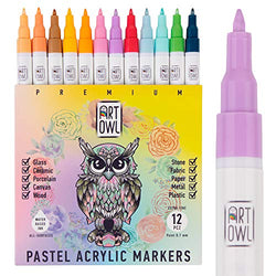 Art Owl Acrylic Pastel Paint Marker Pens, Ultra Fine Point 0.7mm - Paint Pens for Rock Painting, Stone, Pebbles, Ceramic, Glass, Wood - Set of 12 Natural Color Paint Markers