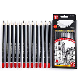 Professional Pencil Sketch Set, 12 Brushes, 8B, 7B, 6B, 5B, 4B, 3B, 2B, B, HB, F, H, 2H Graphite Pencils, Ideal for Drawing and Coloring, Suitable for Beginners and Professional Artists