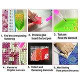 5D DIY Full Drill Diamond Painting Kit, Rhinestone Painting Kits for Adults and Children Embroidery Arts Craft Home Decor Cartoon Anime Series12 x 16 inch (Duck and Stitch, 30x40cm)