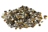 RayLineDo Pack of 100g Bronze Copper Mixed Colors of Various Shaped Buttons for DIY, Sewing and