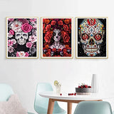 NEWSTARARTS Skull Diamond Painting Kits for Adults and Kids, Halloween Diamond Art Kits DIY 5D Round Full Drill Gem Art Perfect for Relaxation and Home Wall Decor(4 Pack, 12 x 16 inch), DP202207SKULL