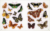 The Bees, Birds & Butterflies Sticker Anthology