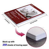 Vellum Paper,IMAGE A4 Size 9”x12” 250 Sheets Artist’s Translucent Vellum Paper Translucent Tracing Paper for Pencil, Marker and Ink - Trace Images, Sketch, Preliminary Drawing, Overlays 32 LB / 50 GSM