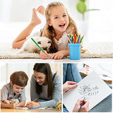LBW 120 Professional Colored Pencils Oil Based Soft Core Drawing Pencils with Pencil Sharpener for Adults Kids Beginners Coloring, Blending and Layering