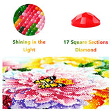 SKRYUIE 5D Full Drill Diamond Painting Smiling Little African Girl by Number Kits, Paint with Diamonds Arts Embroidery DIY Craft Set Arts Decorations (12x16 inch)