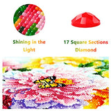 SKRYUIE 5D Diamond Painting Apple Jam Full Drill by Number Kits, DIY Rhinestone Pasted Paint Set for Arts Craft Decoration 40x50cm(16x20inch)