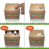 Matney Stealing Coin Cat Box- Piggy Bank - White Kitty - English Speaking