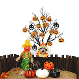 Sunsunstar 20PCS Halloween Thanksgiving Day Unfinished Wooden Cutouts Banner Favor Tags Gift Tags Treats Tags for DIY Kids Cards Crafts Decorations with Pumpkin Cutouts，Strings Googly Wiggle Eyes