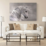 Studio 500 Museum Grade Canvas Art - Natures Beauty The Wild White Stallion, Global Collection, 48" x 32" High Resolution Giclee Printing, H0027, READY TO HANG, Made In the USA