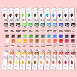 Acrylic Paint Set, Topsics Watercolor Painting Kit with 24 Colors (12ml/ 0.4 oz) NON-TOXIC Craft Paint, Painting Supplies Set for Kids/ Adults, Canvas, Wood, Fabric, Leather Paint ( 39 IN 1)