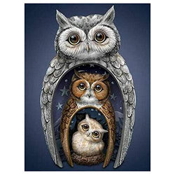 Owl DIY 5D Diamond Painting Kit for Adult, Owl Embroidery Painting for Home Wall Decor Painting Arts Craft 18x14 inches